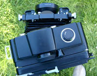 Wista RF Review Wista RF Review